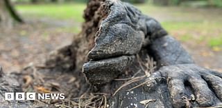 Endcliffe Park toad sculpture to be replaced after badger damage