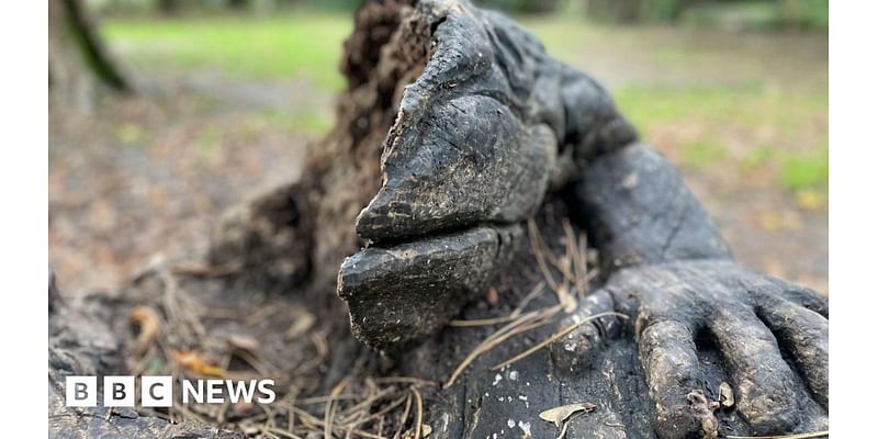 Endcliffe Park toad sculpture to be replaced after badger damage