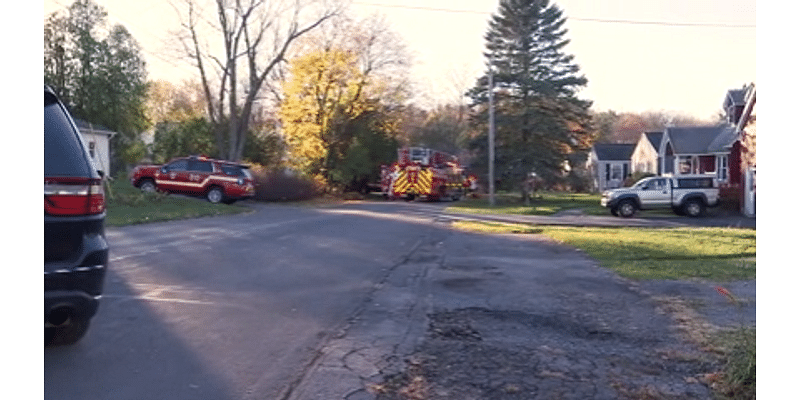 One person injured, pet rescued in house fire in DeWitt