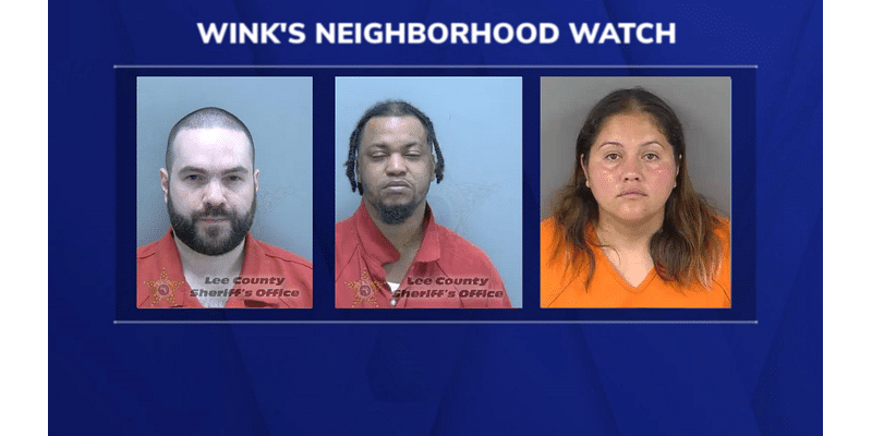 WINK Neighborhood Watch: child-like sex dolls, loaded guns and a hot dog