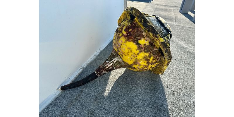 Texas scientists recover important buoy after a week lost at sea