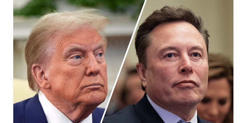 Some Republicans wonder whether Trump-Musk honeymoon will last