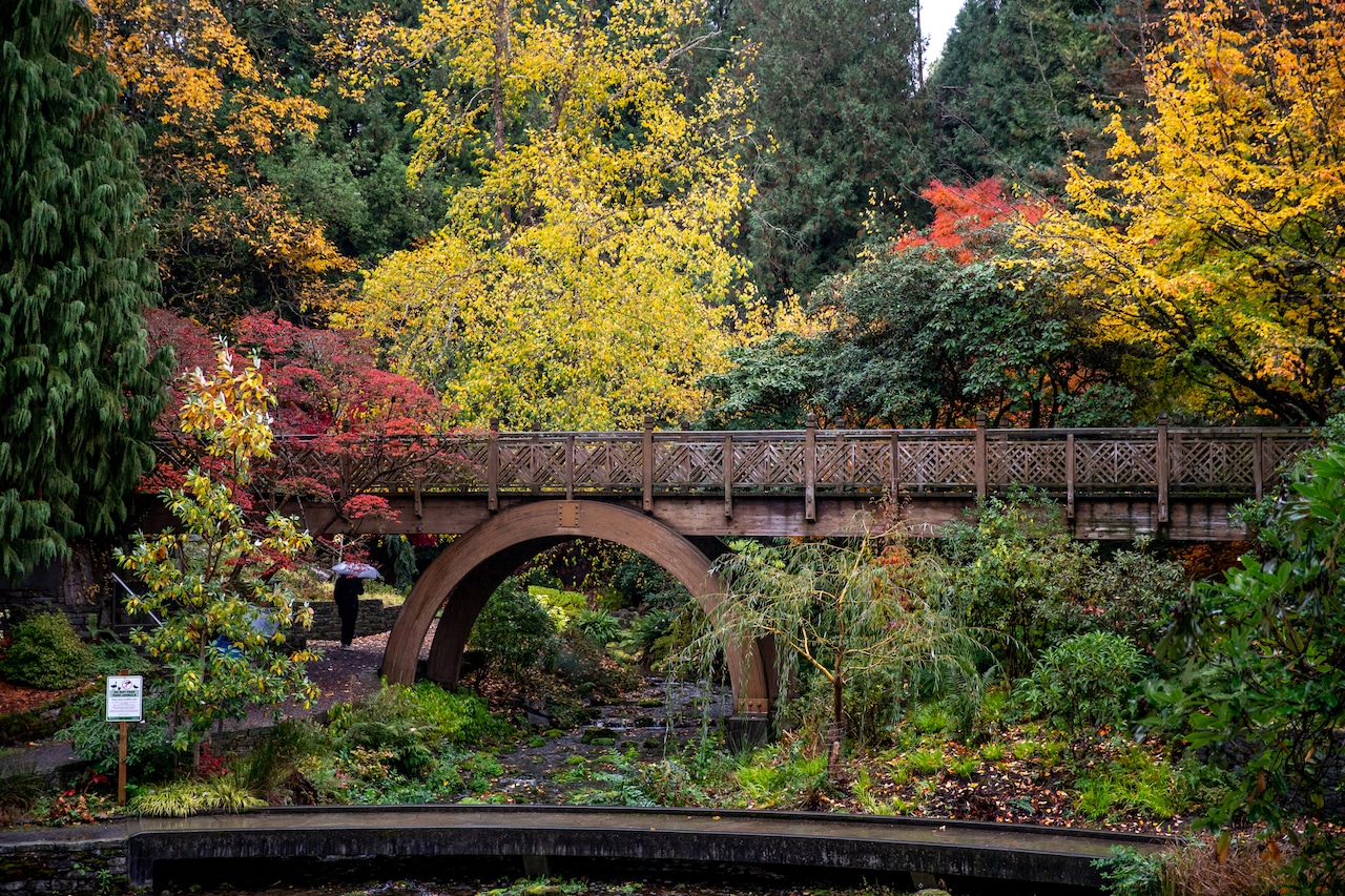 Crystal Springs Rhododendron Garden in autumn (photos)