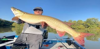 Monster muskellunge a major victory at Leesville: NE Ohio fishing report