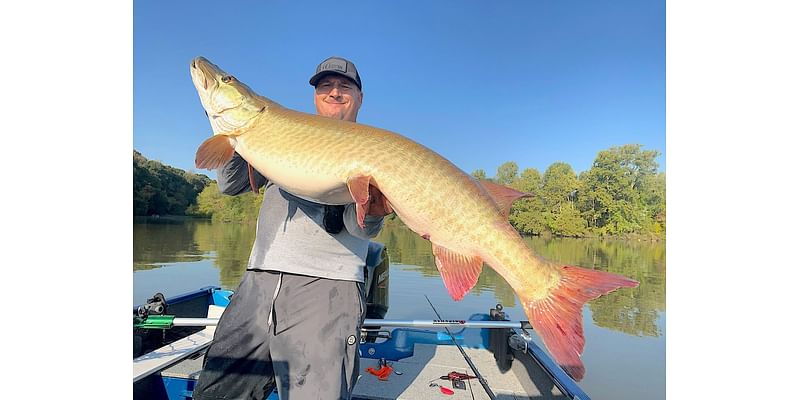 Monster muskellunge a major victory at Leesville: NE Ohio fishing report