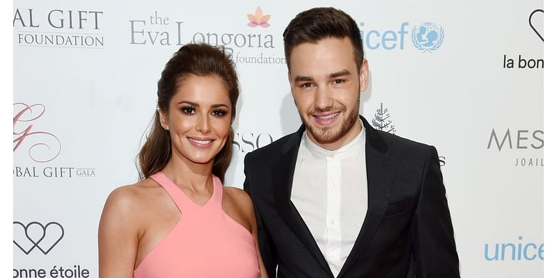 Cheryl Cole, Liam Payne's Coparenting Quotes While Raising Son