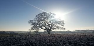 Mix of cloud and rain today as Met Éireann says temperatures to drop to -2C this weekend