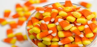 Juniper Village seeks candy donations and volunteers for annual Trick-or-Treat event