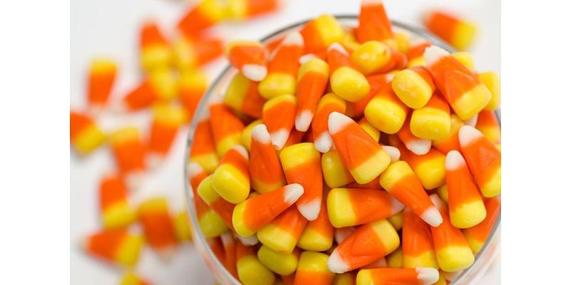 Juniper Village seeks candy donations and volunteers for annual Trick-or-Treat event