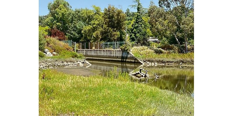 Marin To Host Open House For Flood Management Project