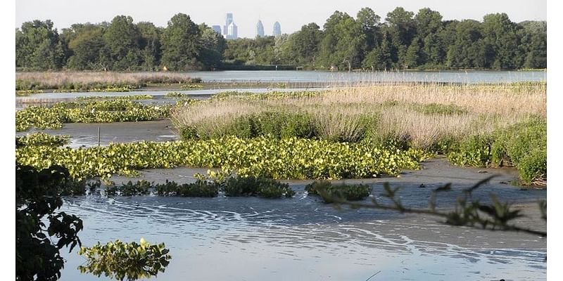 ‘A long time coming’: Philly launches flood alerts for Eastwick neighborhood