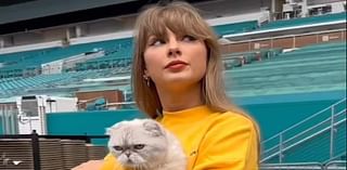 Taylor Swift holds onto her CAT as she walks into a Miami stadium hours ahead of her next Eras Tour stop