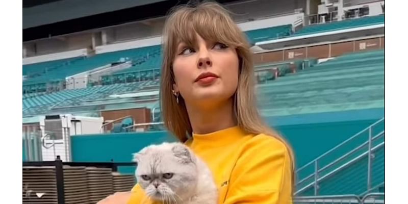 Taylor Swift holds onto her CAT as she walks into a Miami stadium hours ahead of her next Eras Tour stop