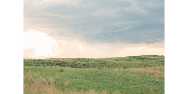 New grasslands program available for South Dakota landowners