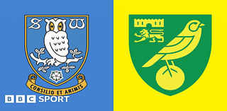 Sheffield Wednesday v Norwich City: Pick of the stats