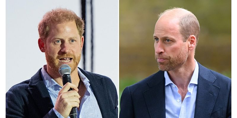 Prince Harry Got Confused for Brother Prince William at Fundraiser