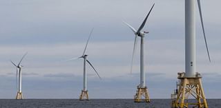 Maryland, Delaware businesses sue feds over offshore wind project