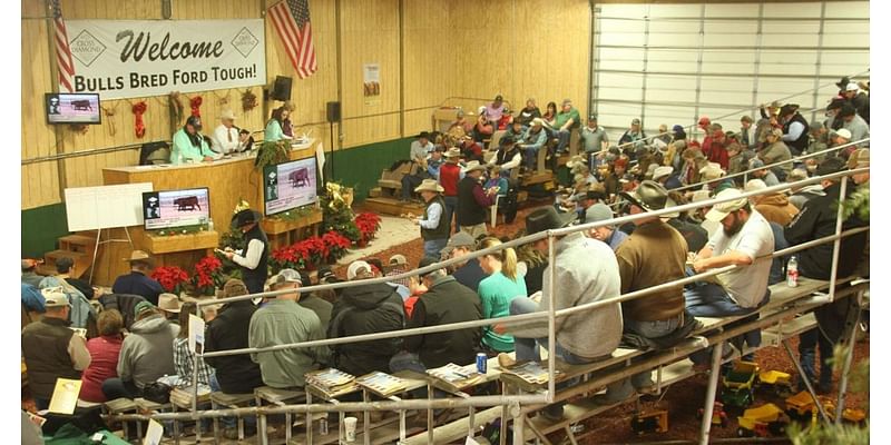 Cross Diamond Cattle of Bertrand named ag innovator of 2024