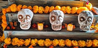 Día de los Muertos Celebration Returns to Civic Center Park Oct. 26