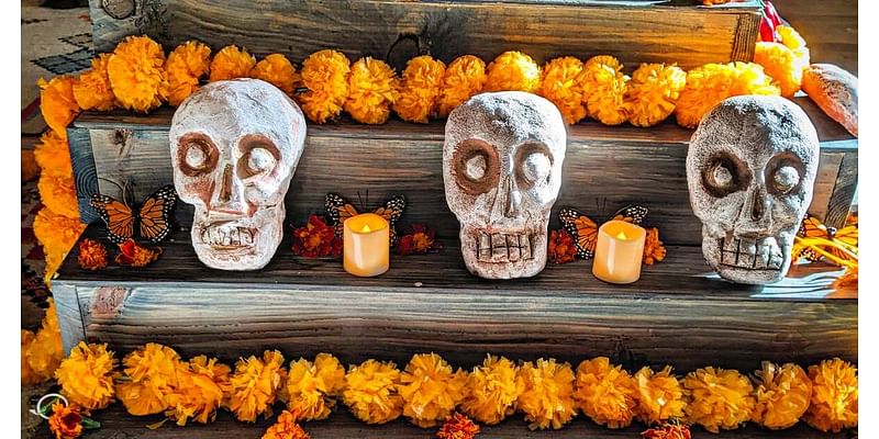 Día de los Muertos Celebration Returns to Civic Center Park Oct. 26