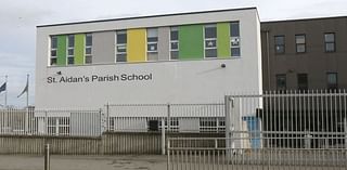 No traffic warden for Wexford’s biggest primary school as council say vacancy will not be filled