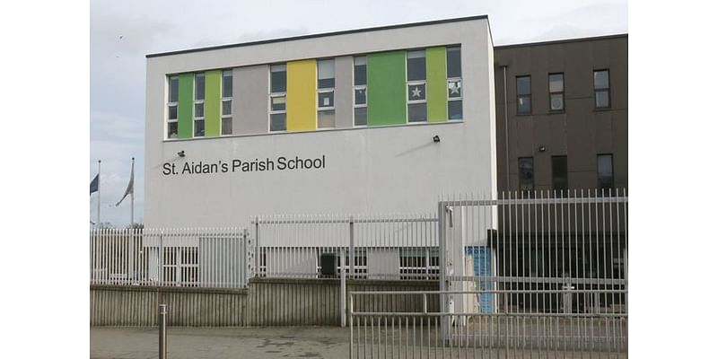 No traffic warden for Wexford’s biggest primary school as council say vacancy will not be filled