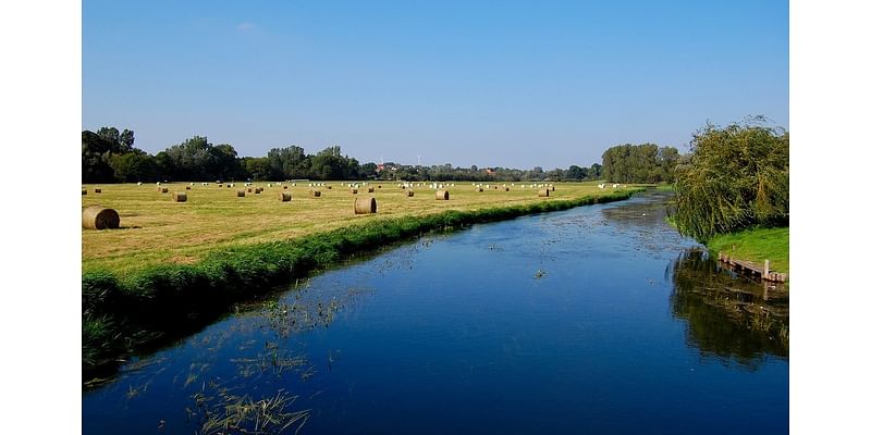 Mystery Of 3,000-Year-Old Battle Unfolds In Germany's Tollense River Valley