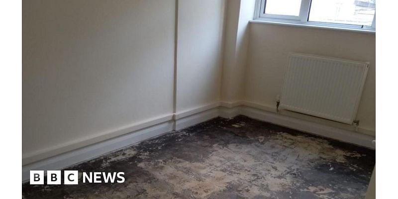 Carpetless housing 'driving Cornwall renters to food banks'