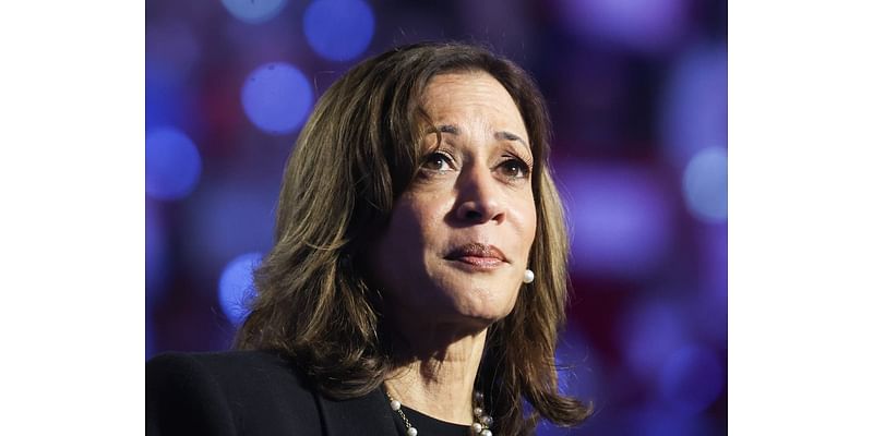 Democrat anger as blame game begins for Kamala Harris’ devastating loss