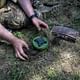 US Will Provide Land Mines to Ukraine After Approval on Missiles