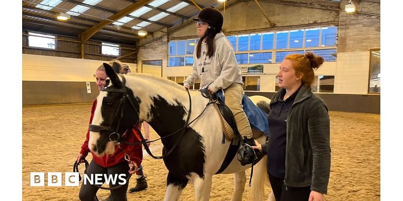 Horse helps disabled riders in memory of Leeds councillor