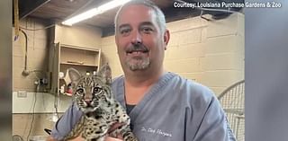 Zoo Buddy: Honoring Dr. Clint Harper