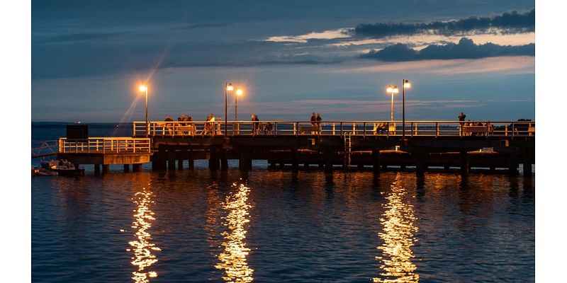 Aquariums and piers push to make major change along North Carolina coast: 'We're all trying to make a difference for wildlife'