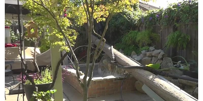 AT&T pole that fell into Sacramento backyard has been a concern for over 40 years, couple says