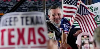 Ted Cruz Defeats Colin Allred in Contentious Senate Race, Securing Third Term