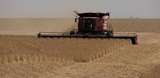 Local farmer says harvest season is looking good, but weather worries him