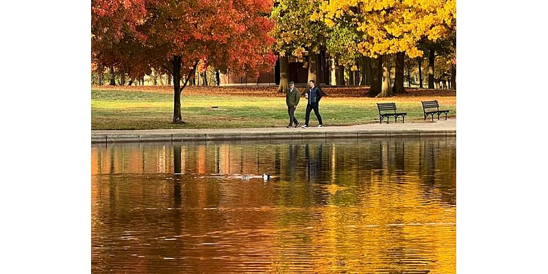 D.C.-area forecast: Temperatures head back into above-normal territory this week