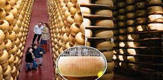 Cheesemakers try a sneaky method to battle Parmesan pirates: edible microchips