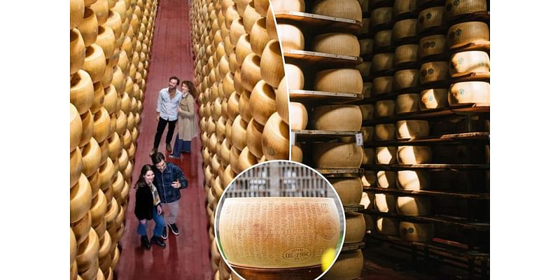 Cheesemakers try a sneaky method to battle Parmesan pirates: edible microchips