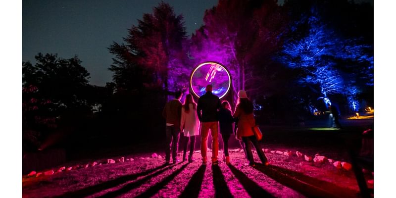 Things to do this weekend: ‘Astra Lumina' gets glowing at this SoCal garden