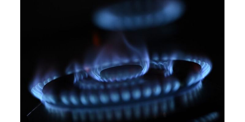 Gas Producer Slams Ideological Folly, Warns of Shortage