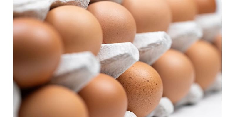 Egg recall linked to salmonella upgraded to highest possible risk by FDA