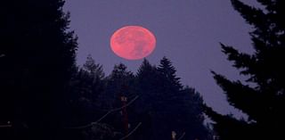 Here’s what the partial lunar eclipse looked like in Fresno, California