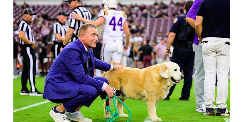 Kirk Herbstreit reveals his dog Ben is not doing well amid cancer battle – NBC 5 Dallas