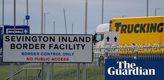 EU plant exporters turning backs on UK over ‘painful’ border checks, says trade group