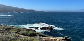 California Coastal Reserve Is a Treasure Trove of Ocean Views and Wildlife