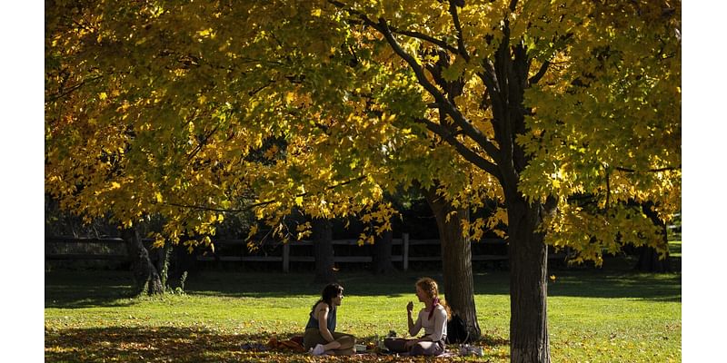 What marks the start of fall in Chicago? Here's what you told us.