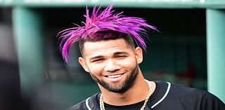 Diamondbacks activate OF Lourdes Gurriel Jr. from IL