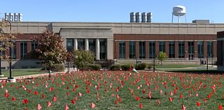 Group of WVU students memorialize Palestinian lives lost with flag display