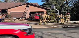 House fire near Palmer Park leaves five dogs dead